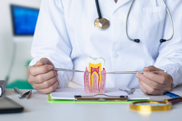 Best Emergency Dentist for Knocked-Out Tooth in Buena Park, CA